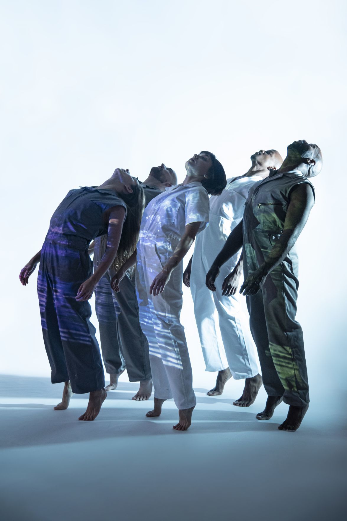 The Seldoms: 'Floe'
